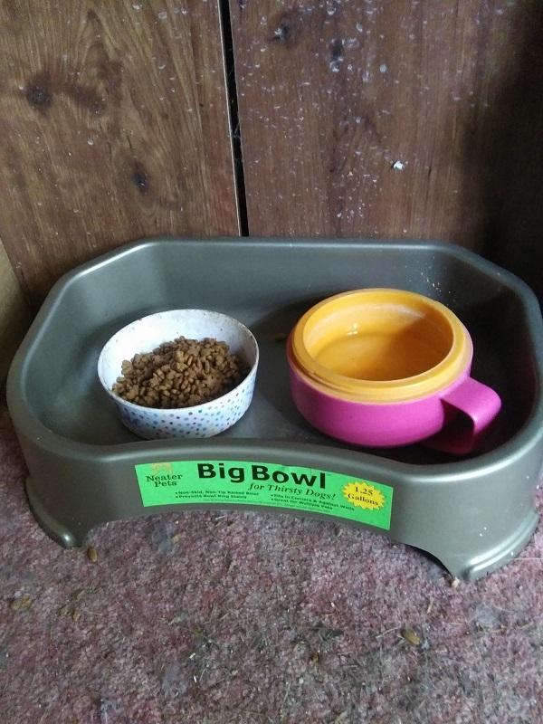 Holds two separate bowls