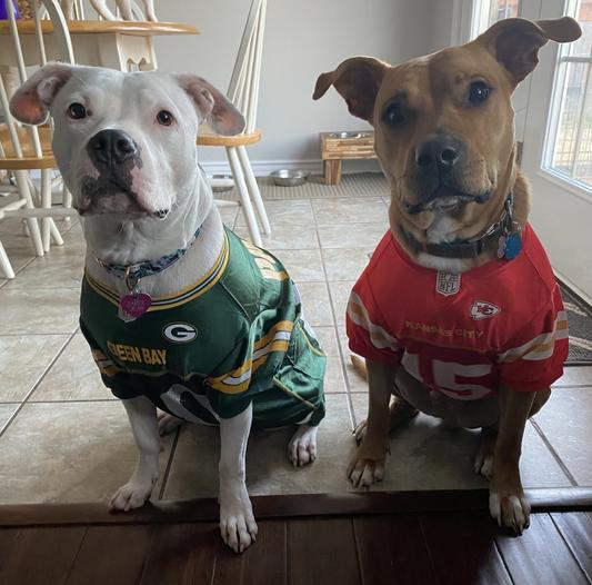 : Pets First NFL Team Player Jersey for Cats and Dogs