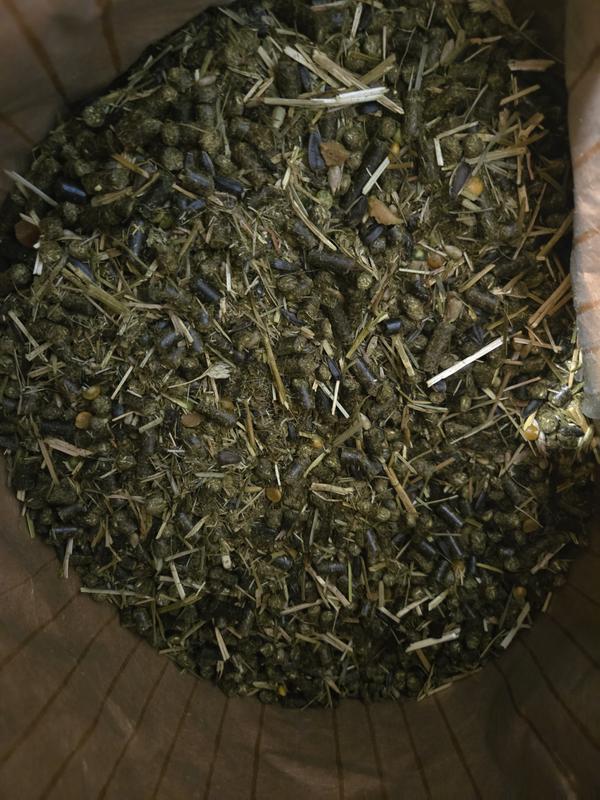 Photo take after mixing it up a bit to see if fun bits were buried. They are not.