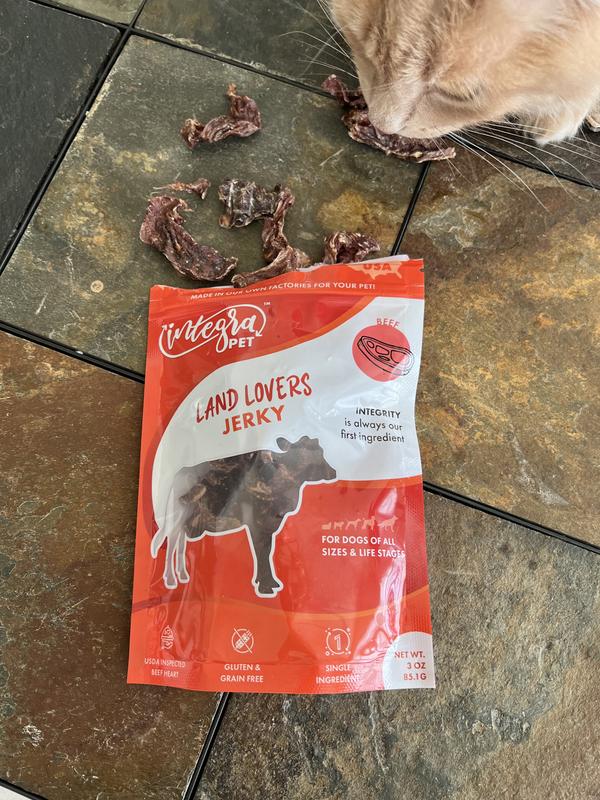 Even the cat is interested!