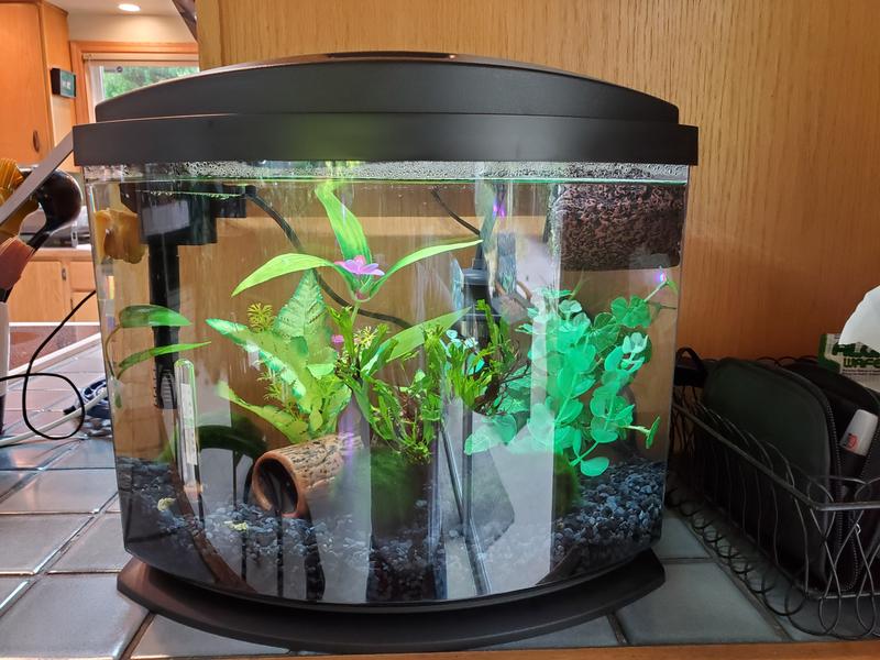 Aqueon LED Minibow Small Aquarium Fish Tank Kit with Smartclean Technology,  Blac