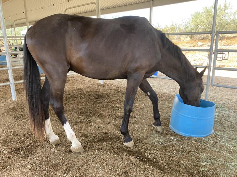 Chance after 1 month on Key-Plus