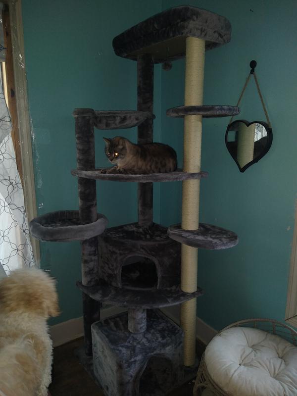 FRISCO 76-in XXL Heavy Duty Cat Tree, Gray - Chewy.com