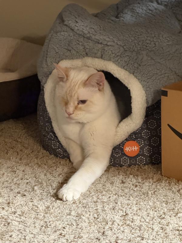 Margie likes hanging out