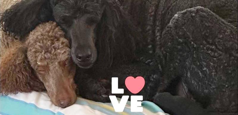 Spencer 9 and Sadie 7