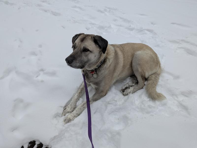 My big baby for attention