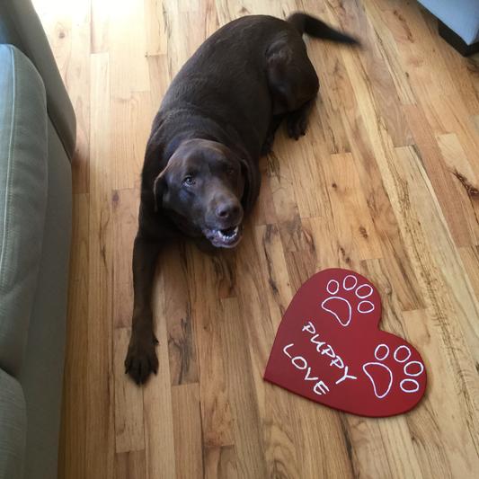 Chocolate love