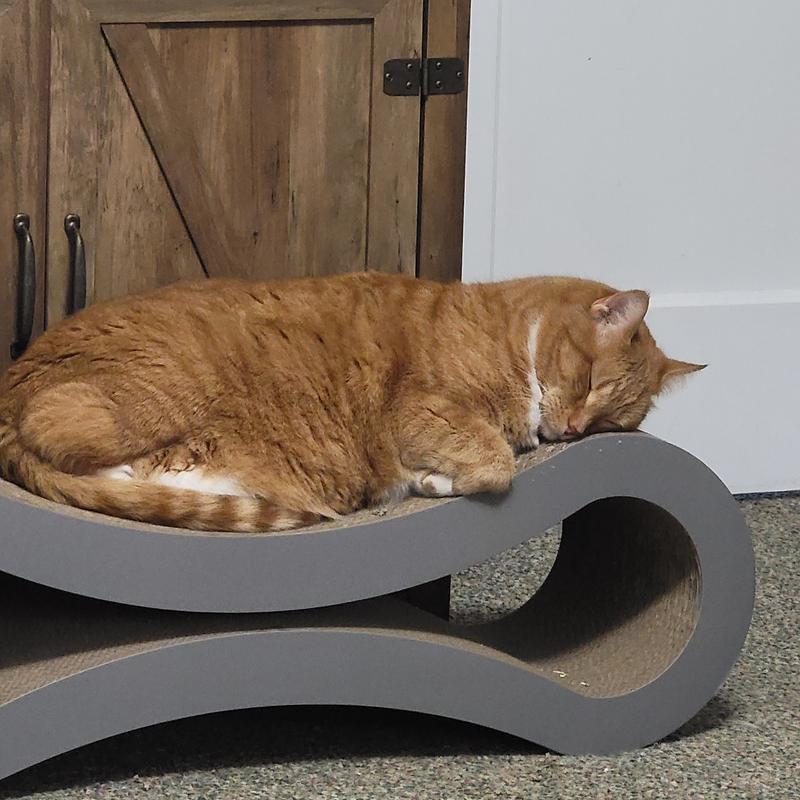 Sleeping soundly
