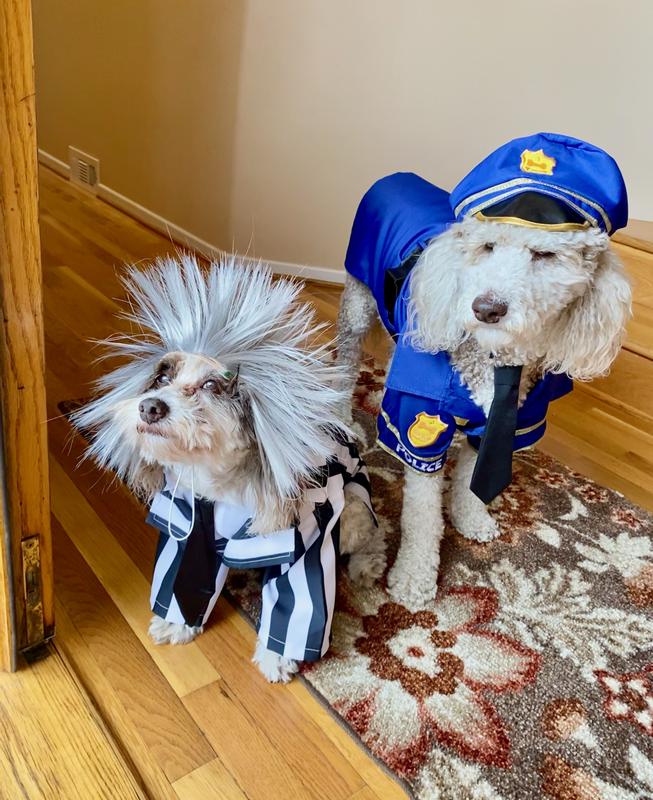 HILL'S SCIENCE DIET Adult Sensitive Stomach & Sensitive Skin Canned Dog Food, Tender Turkey