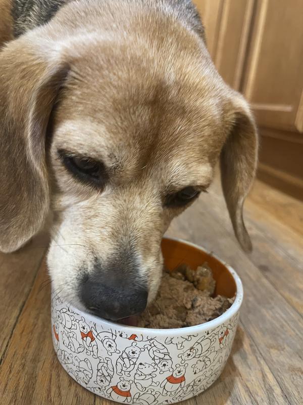 Licks her bowl clean!
