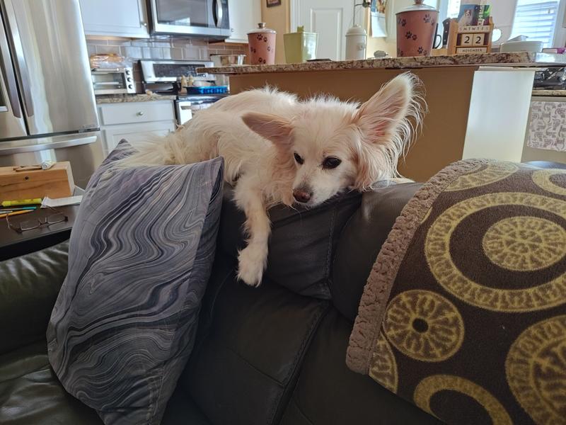 Relaxing after dinner.