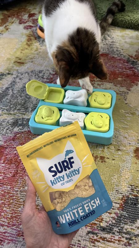 Abracadabra and her treat puzzle