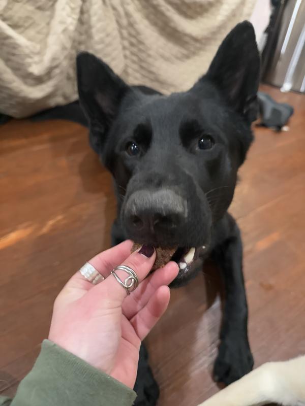 took the whole thing- (for reference he will leave raw food in his bowl)