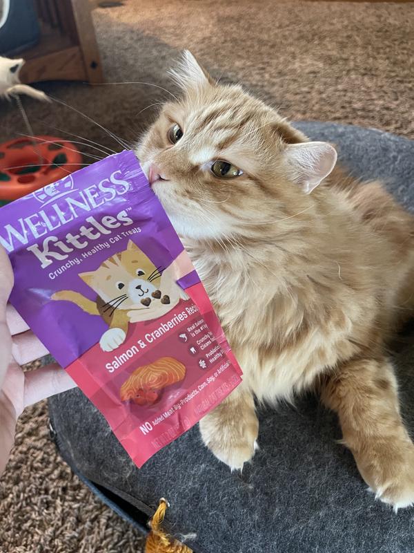 Cranberries Recipe Homemade Cat Treats Grain Free Cranberry