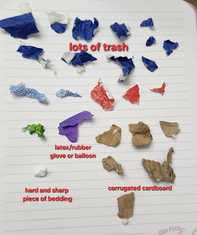 Trash found in bedding