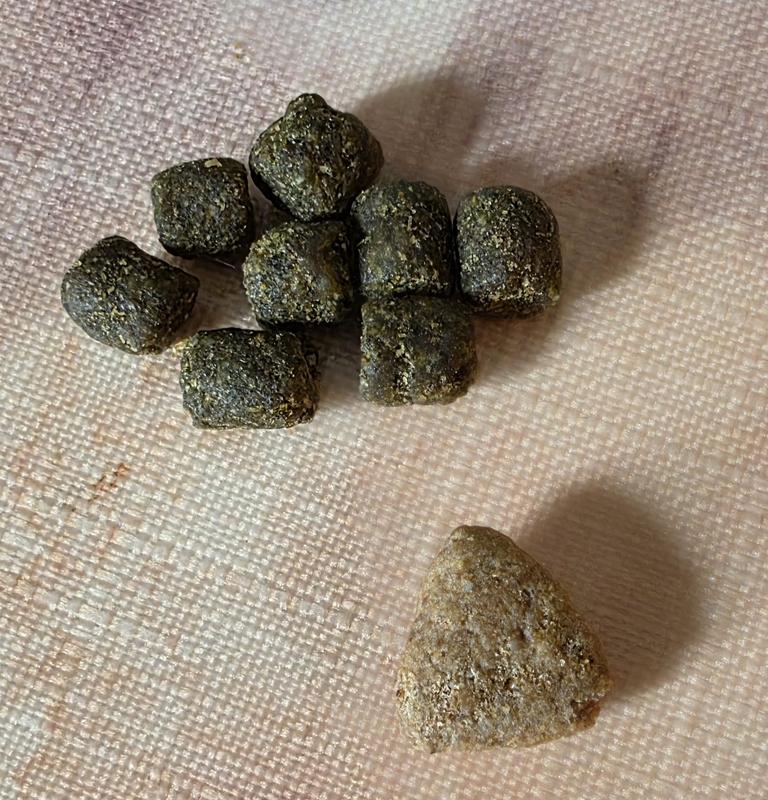 It contains "LifeSource Bits" that smell like alfalfa to me, which is an ingredient in the food, which isn't a bad thing.