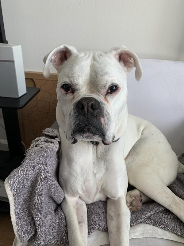 KAIN LOVE THE TASTE, AND IT WORKS