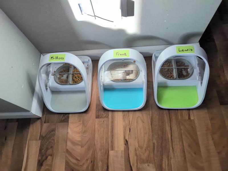 SUREFEED Microchip Small Dog & Cat Feeder, 1 count - Chewy.com