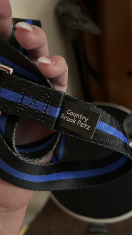 Opened off harness before I opened outside door.