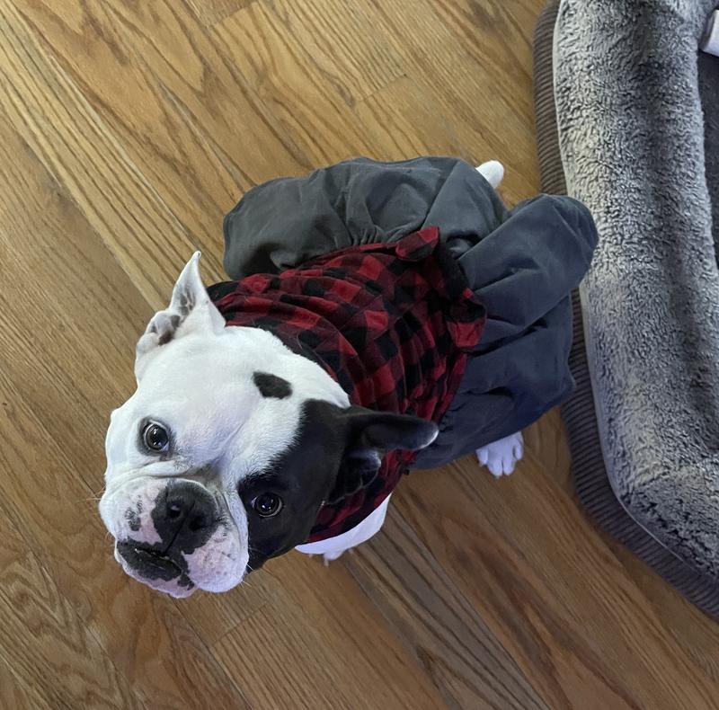 Better view from the top, she loves her new dress