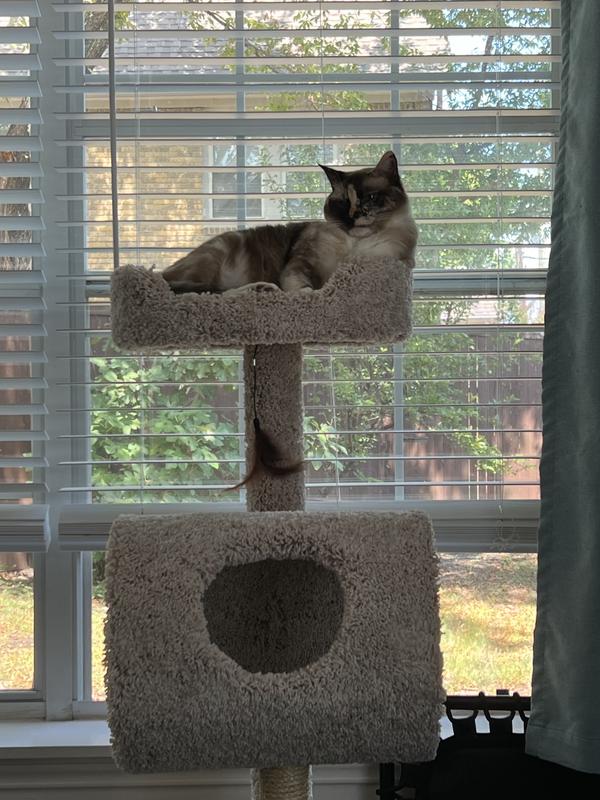 Queen of her kingdom!