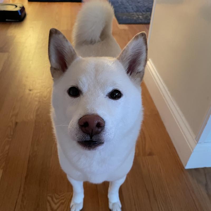 The only treats that make her beg for more