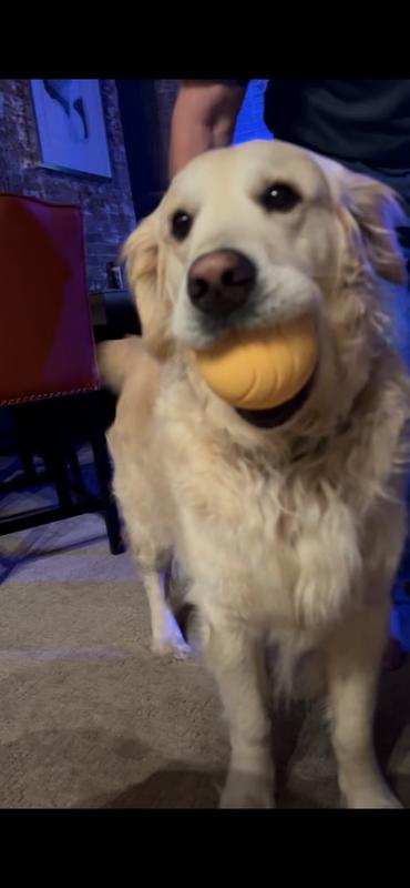 Still playing inside!