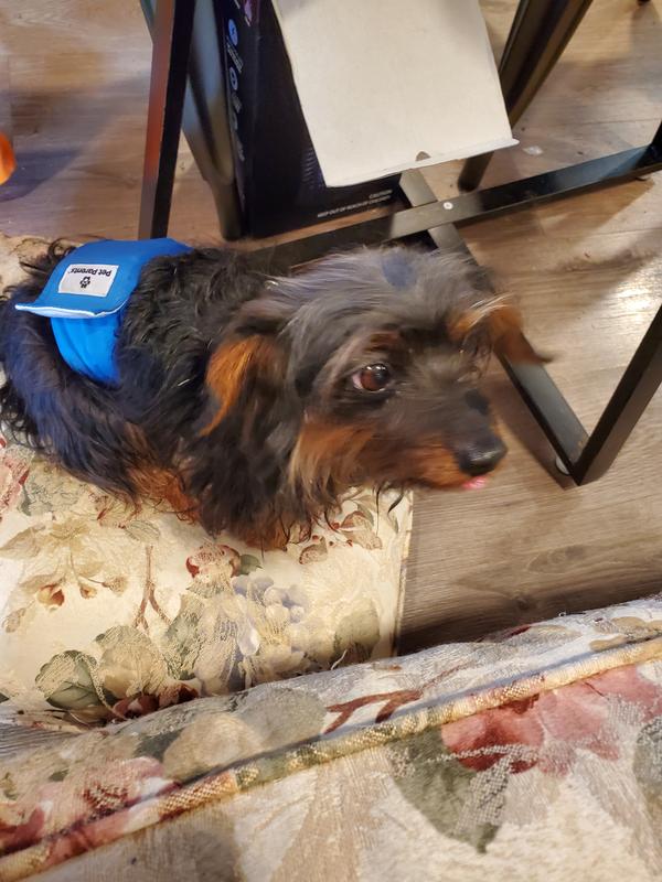 Shakesphere says thanks for the Wisdom.