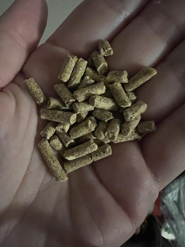 Close up of the pellets