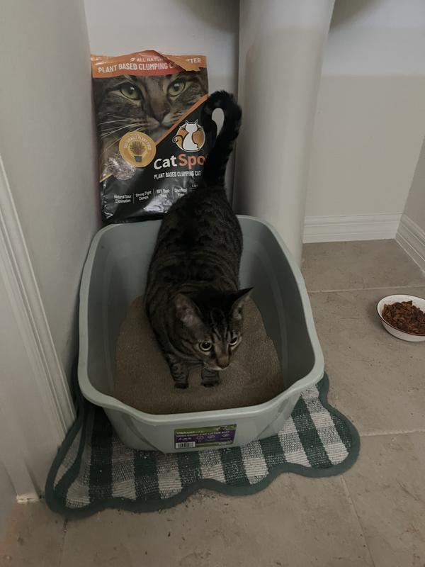 My kitty checking it out