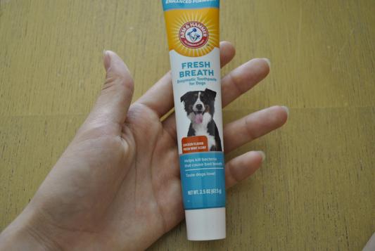 ARM HAMMER PRODUCTS Products Fresh Breath Chicken Flavored Enzymatic Dog Toothpaste reviews Chewy