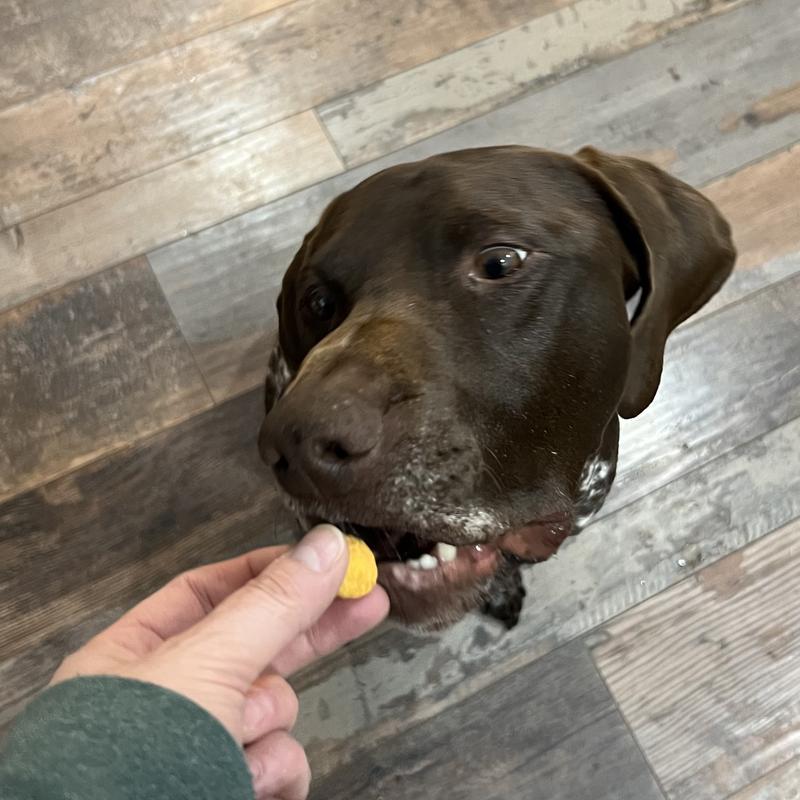 Gus is going for it.