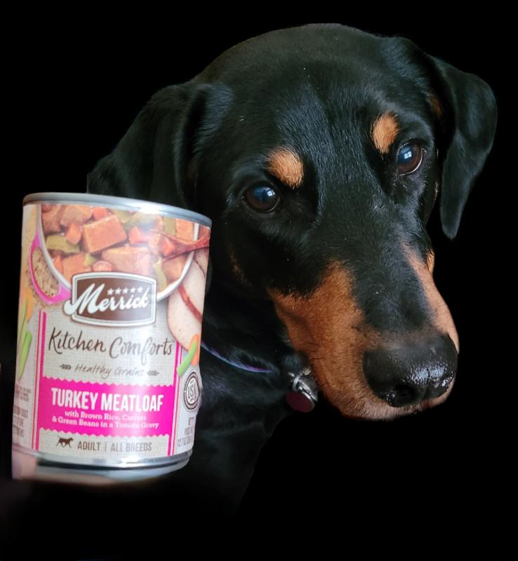Merrick Kitchen Comforts Beef & Brown Rice Wet Dog Food, 12.7-oz can, case of 12