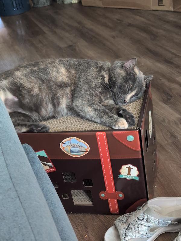 Great place to snooze after a good scratching!