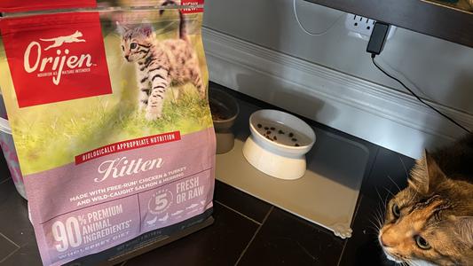 ORIJEN Free Run Chicken & Turkey, & Wild Caught Salmon & Herring Grain-Free Dry Kitten Food,
