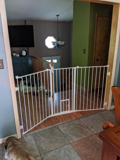 Carlson extra tall flexi pet cheap gate