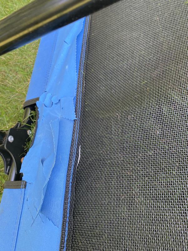 COLEMAN Folding Dog Cot, Blue, Large