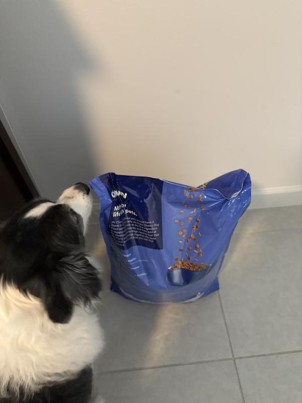 Jax smelling the good food