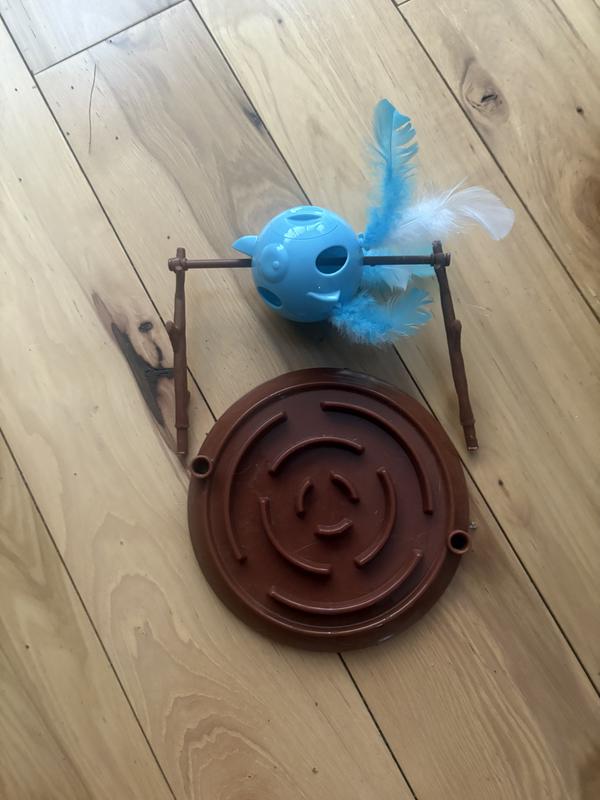 In a day this fell apart!