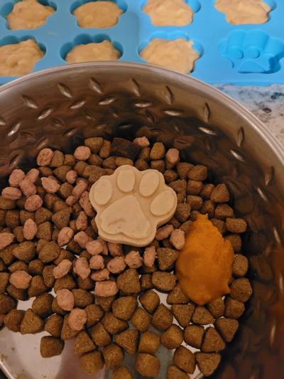 Paw and Bone Silicone Molds (Set of 2) - Cooper's Treats