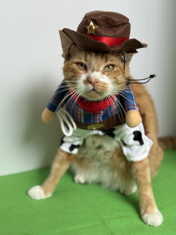 Everyone loved this on instagram.