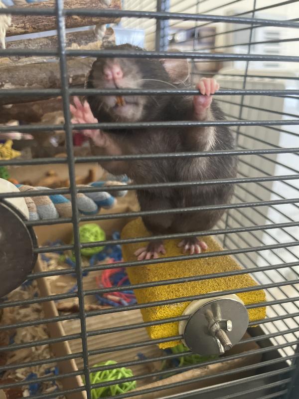 meg wanted to say hi but you can see it behind her:)