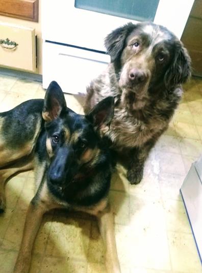 After their bath