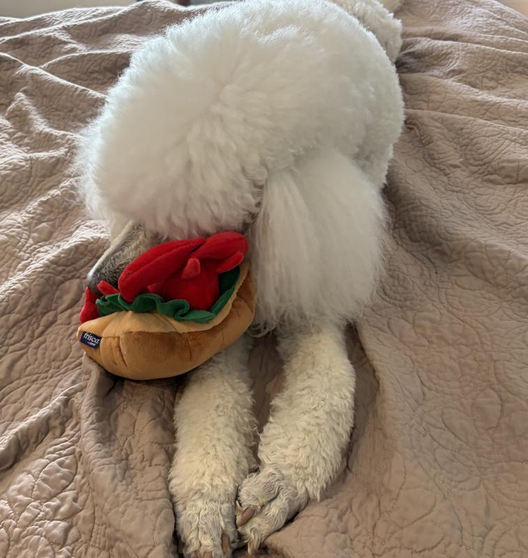Most yummy toy ever!