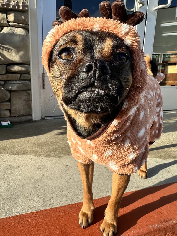 Frisco Reindeer Dog & Cat Hooded Plush Fleece PJs