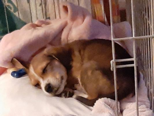 Sleepy baby.