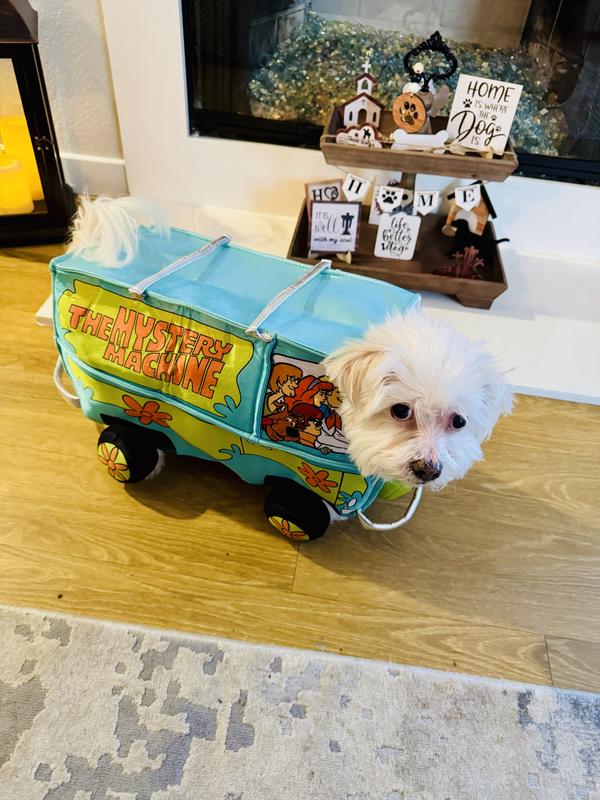 Chico as the Mystery Van