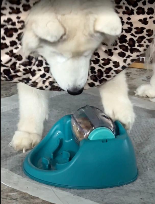 Getting the hang of spinning it with her paw!