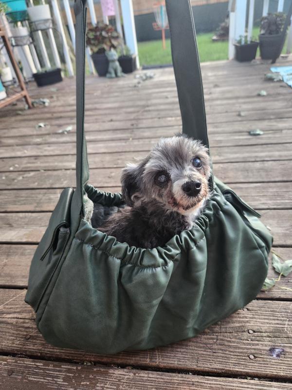 My 6lb dog is able to stand or cozy in and lay down while we are on the move