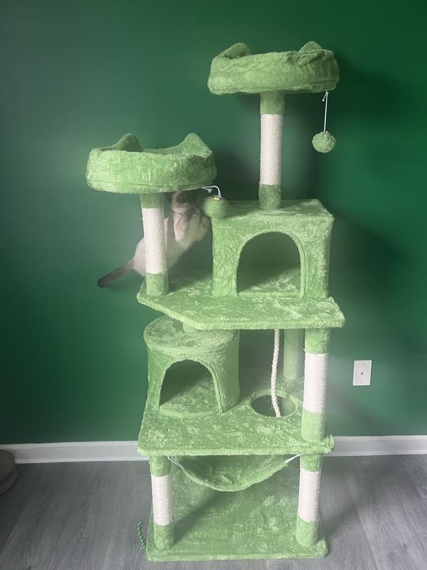 Panda’s new cat tree